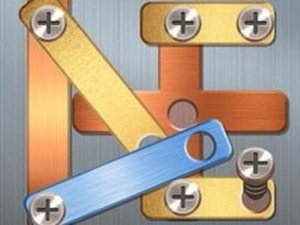 Screw Puzzle Logic Game